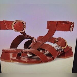 Steve Madden gladiator Brown Sandals with Gold Accents